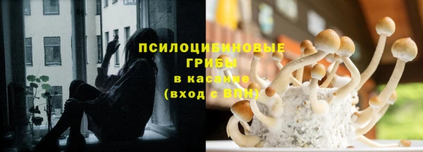 spice Аркадак