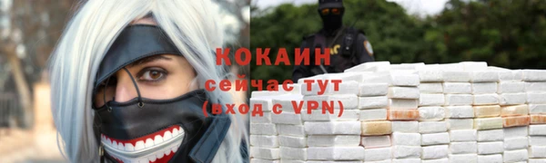 spice Аркадак