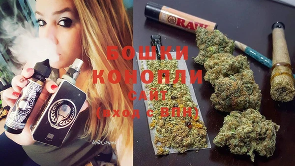 spice Аркадак