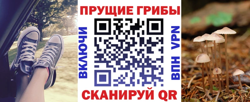 Галлюциногенные грибы MAGIC MUSHROOMS  Купить закладки  Сусуман 